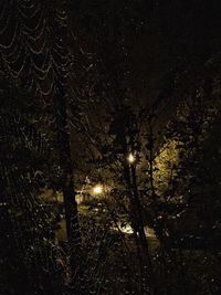 Full frame shot of trees against sky at night