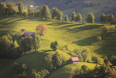 Scenic view of agricultural field by trees and houses
