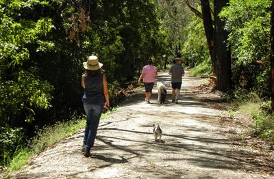 Rear view of woman walking on footpath