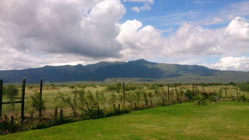 Scenic view of landscape against cloudy sky