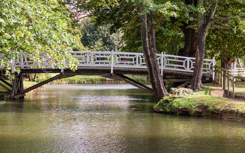 Bridge over river in forest