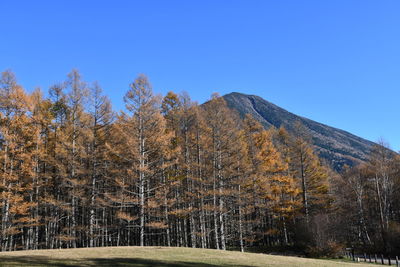 Scenic view of land against clear blue sky