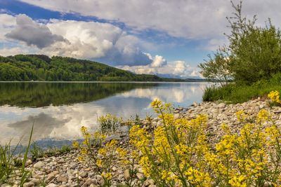 Scenic view of lake by trees against sky