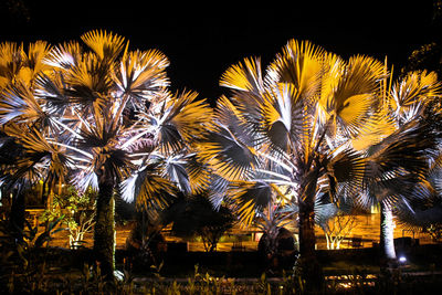 Low angle view of firework display against sky at night