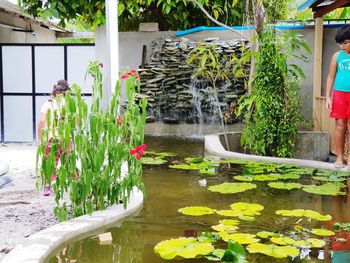 Plants growing by fountain against lake