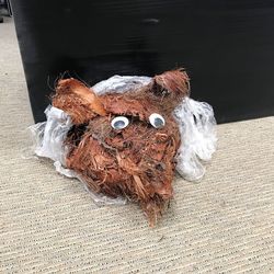 Close-up high angle view of bread