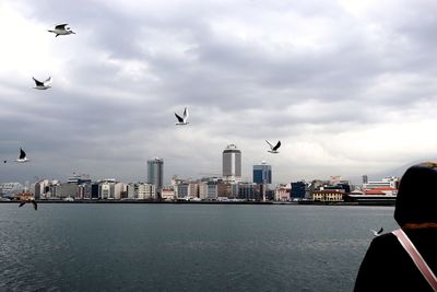Rear view of woman looking at seagulls flying over sea