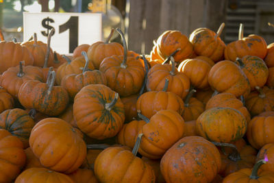 Pumpkins for sale at market stall