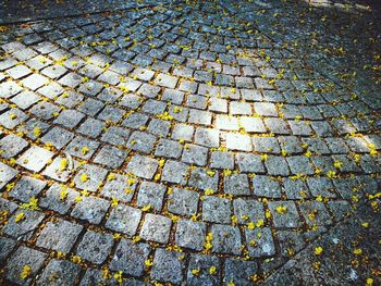 Full frame shot of autumn leaves