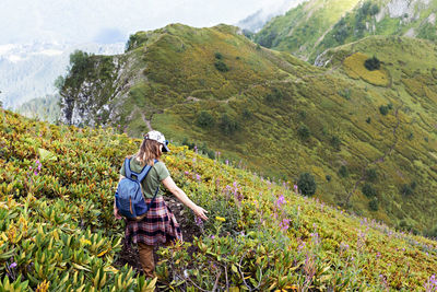 Rear view of young woman with backpack hiking in mountains among rhododendron plants flowers 