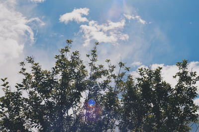 Low angle view of trees against blue sky