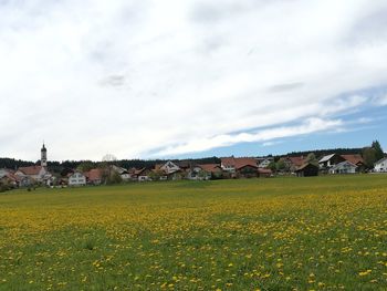 Houses on field against sky