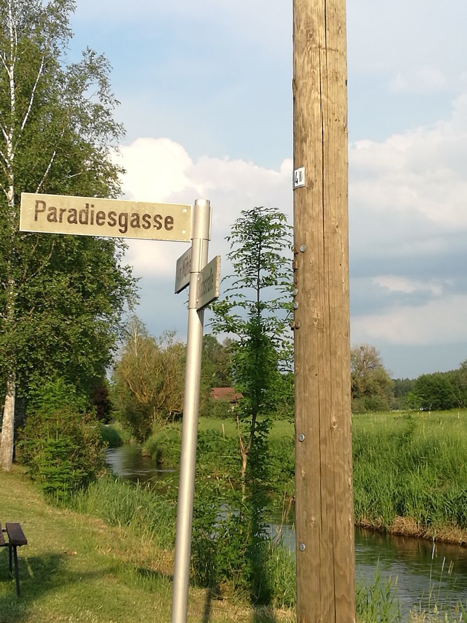 SIGN BY TREE AGAINST SKY