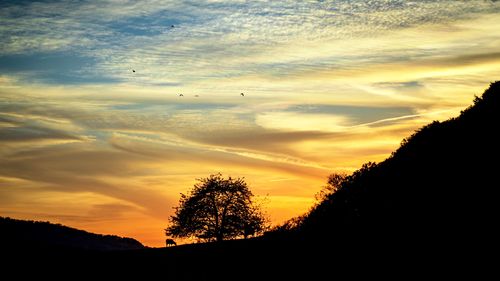 Low angle view of silhouette trees against sky during sunset