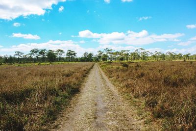 Road amidst field against sky