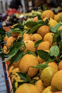 Close-up of fruits for sale at market stall