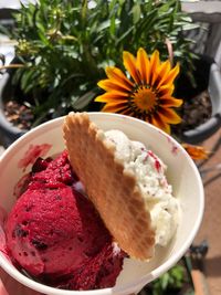 Close-up of ice cream in plate