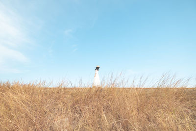 Man standing on field against sky