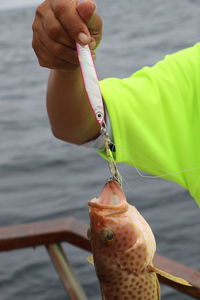 Cropped hand of fisherman holding fish against sea