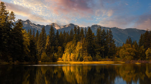 reflection