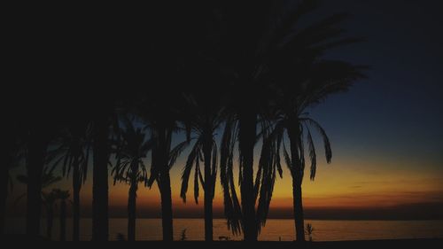 Silhouette palm trees on beach against sky during sunset