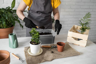 Midsection of man holding potted plant