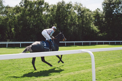 Man with horse on field