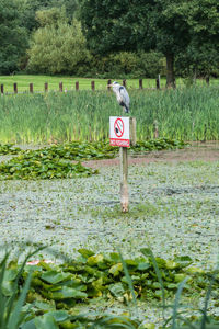 Information sign on field