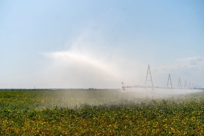 Scenic view of grassy field against sky