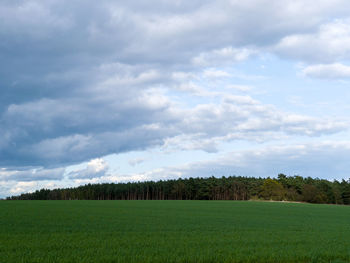 Scenic view of field against sky