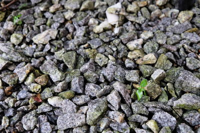 Full frame shot of stones