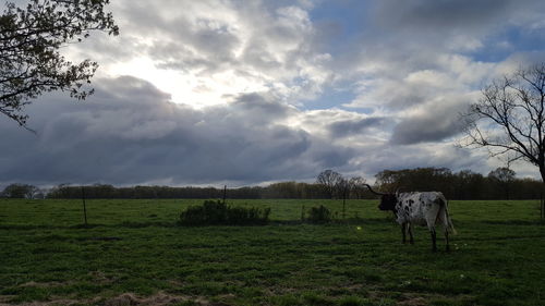 Scenic view of grassy field against cloudy sky