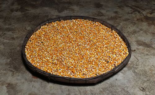 High angle view of corn kernels in plate on floor