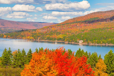 autumn