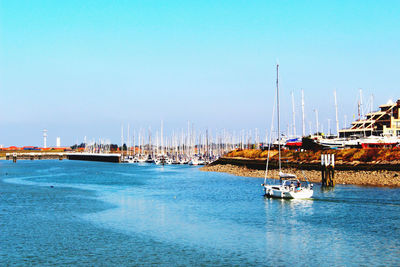 Sailboats moored in harbor