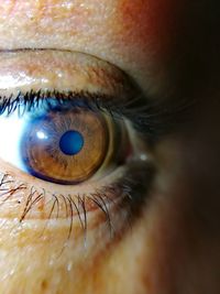 Macro shot of human eye