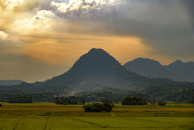 Scenic view of agricultural field against sky during sunset