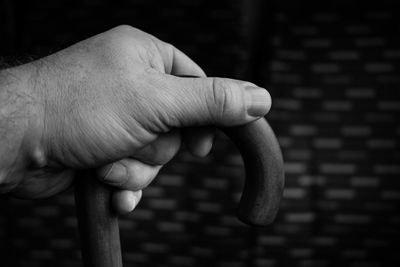 Close-up of hand holding leaf