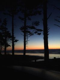 Silhouette trees on beach against sky during sunset