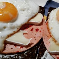 Close-up of food on table