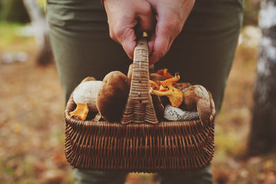 Midsection of person holding mushrooms in basket