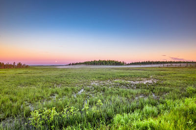 Scenic view of field against clear sky during sunset