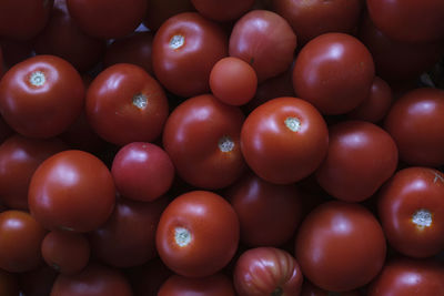 Full frame shot of tomatoes