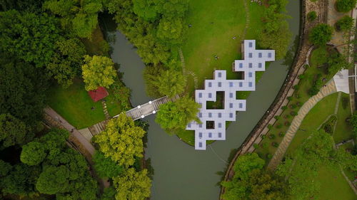 High angle view of river amidst trees in city