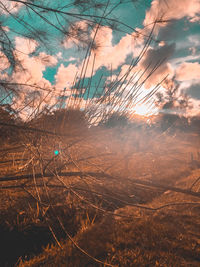 Scenic view of field against sky at sunset