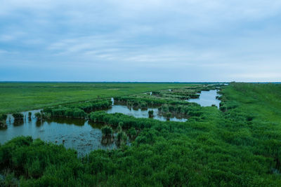 Wetland landscape