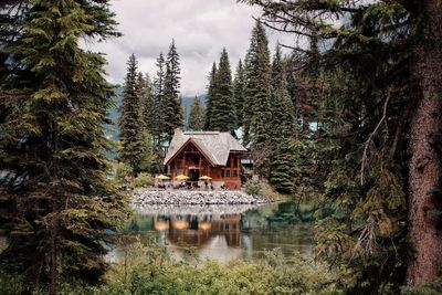 Reflection of trees and plants in lake