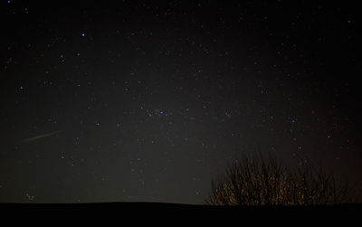 Low angle view of star field against star field