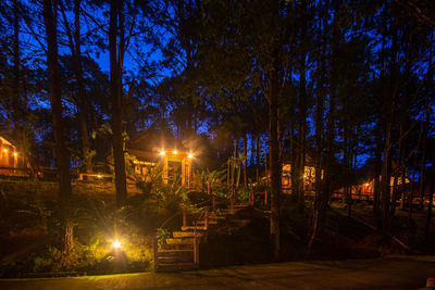 Illuminated street light by trees against sky at night