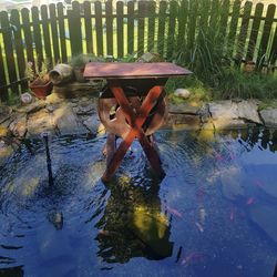 High angle view of fish swimming in pond